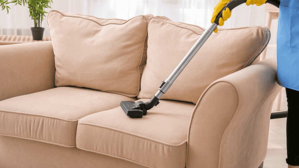 Common Upholstery Problems in Thunder Bay Homes and How to Solve Them