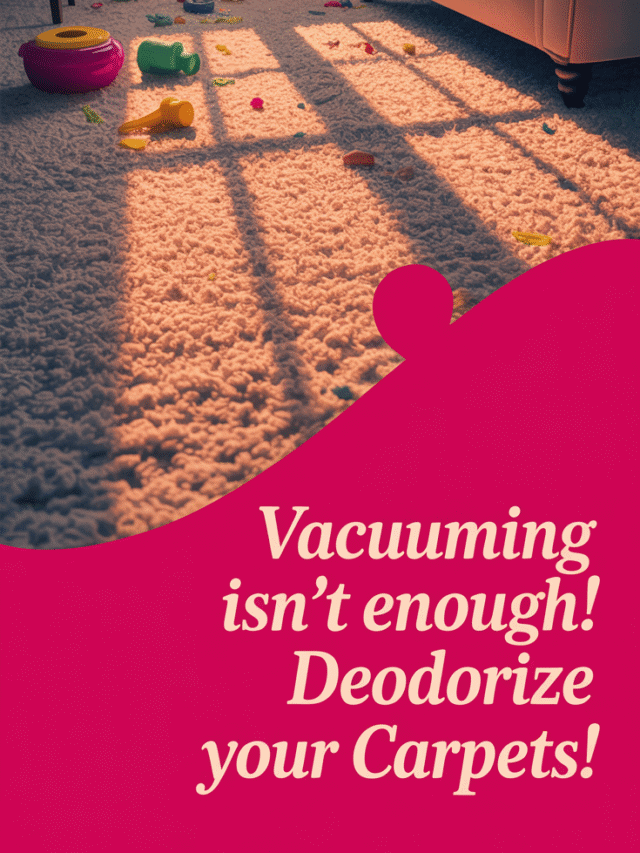 Vacuuming Isn’t Enough! Deodorize Your Carpets!